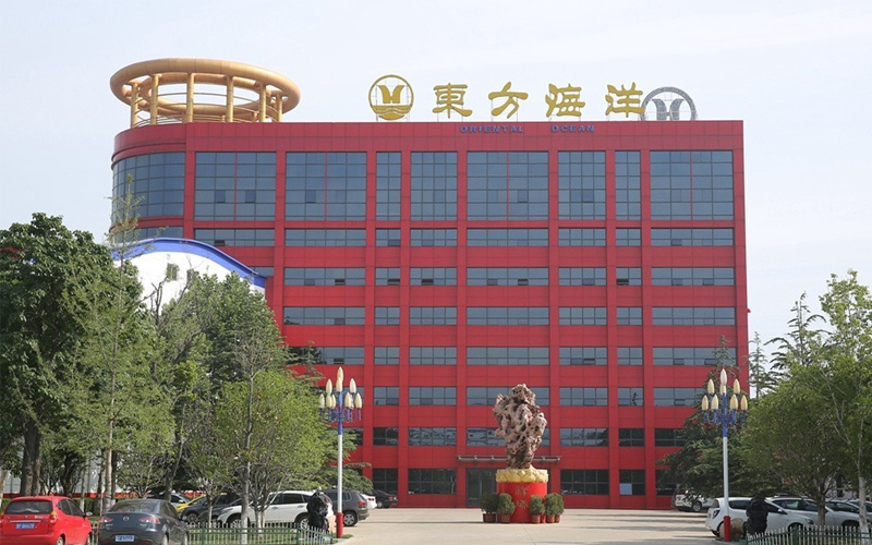 山東東方海洋科技股份有限公司委托稅務鑒證